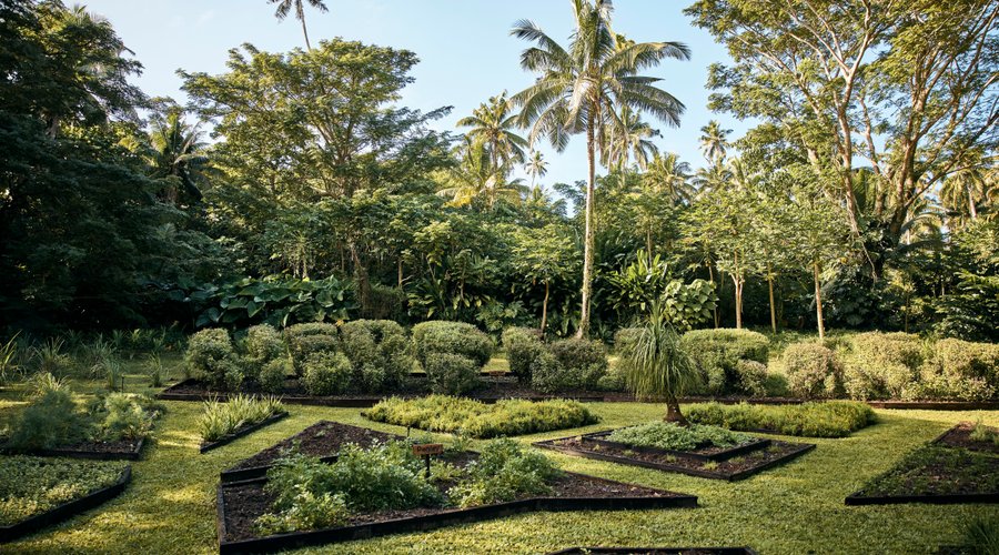 Cuisine Herb Garden