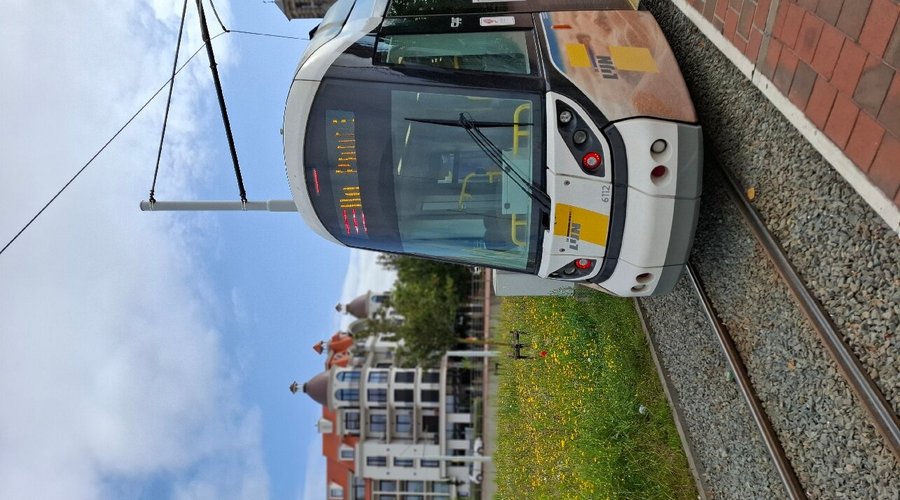 I always loved taking the tram along almost the whole of the Belgium coast, a top travel experience as far as i am concerned!!! (August 2024)