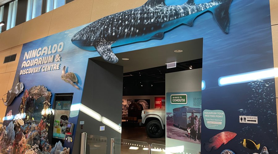 Ningaloo Aquarium & Discovery Centre