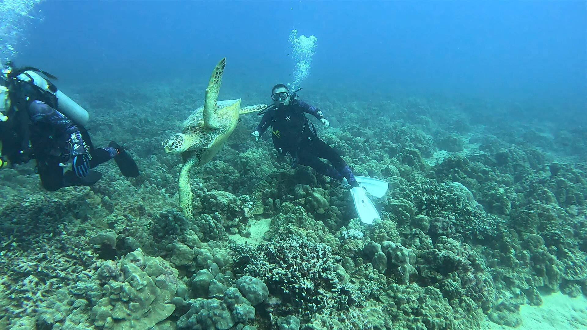 Sunshine Scuba (2025) - All You Need to Know BEFORE You Go