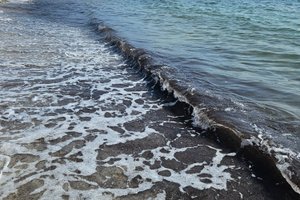 Pool und Strand