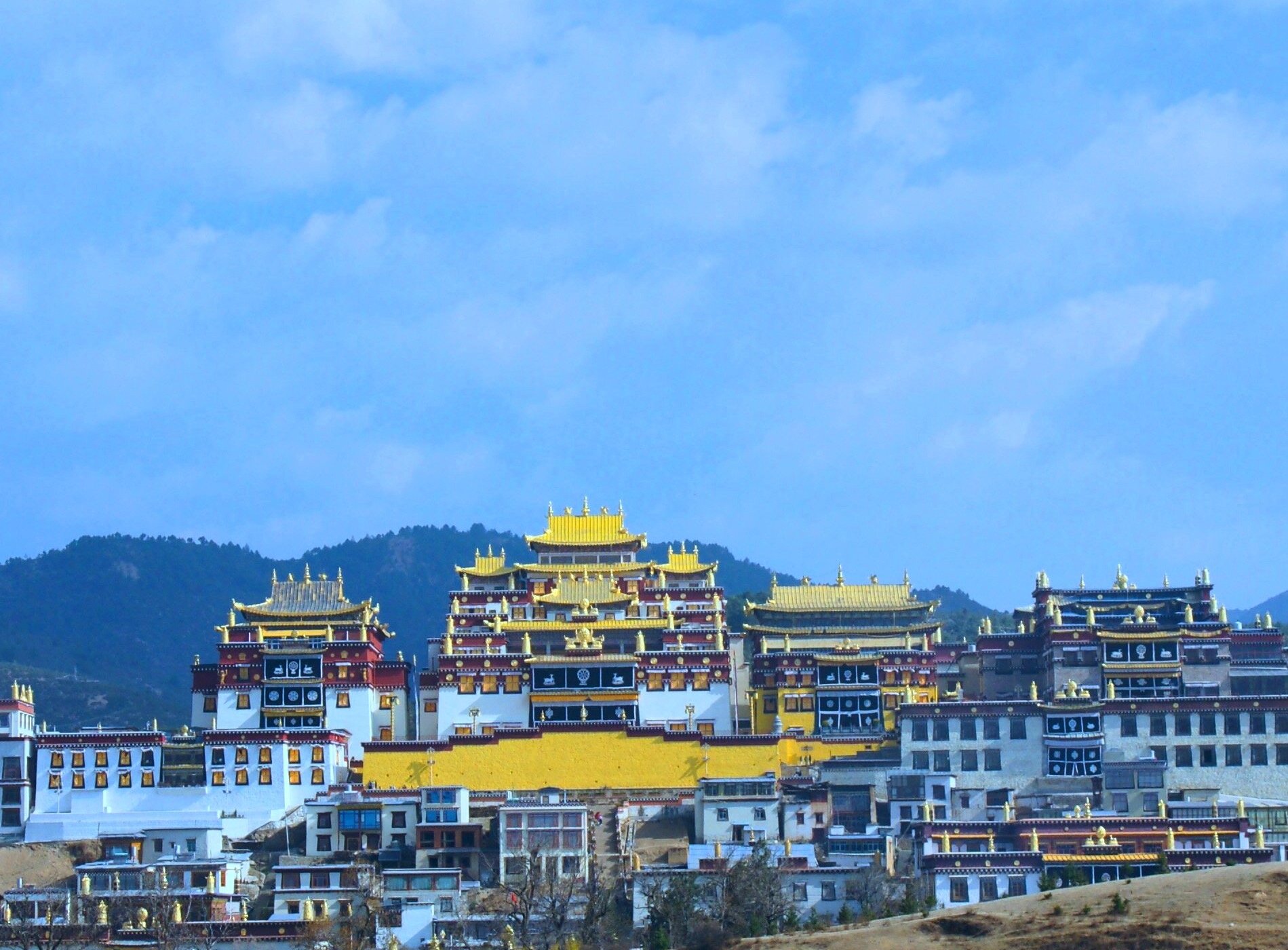 Khampa Caravan Travel Agency - 샹그릴라 - Khampa Caravan Travel Agency의 리뷰 - 트립어드바이저