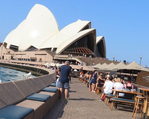 Best Sydney Tours