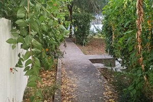Viaggiatori