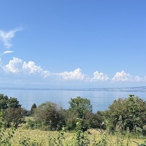 Vue de l'emplacement.