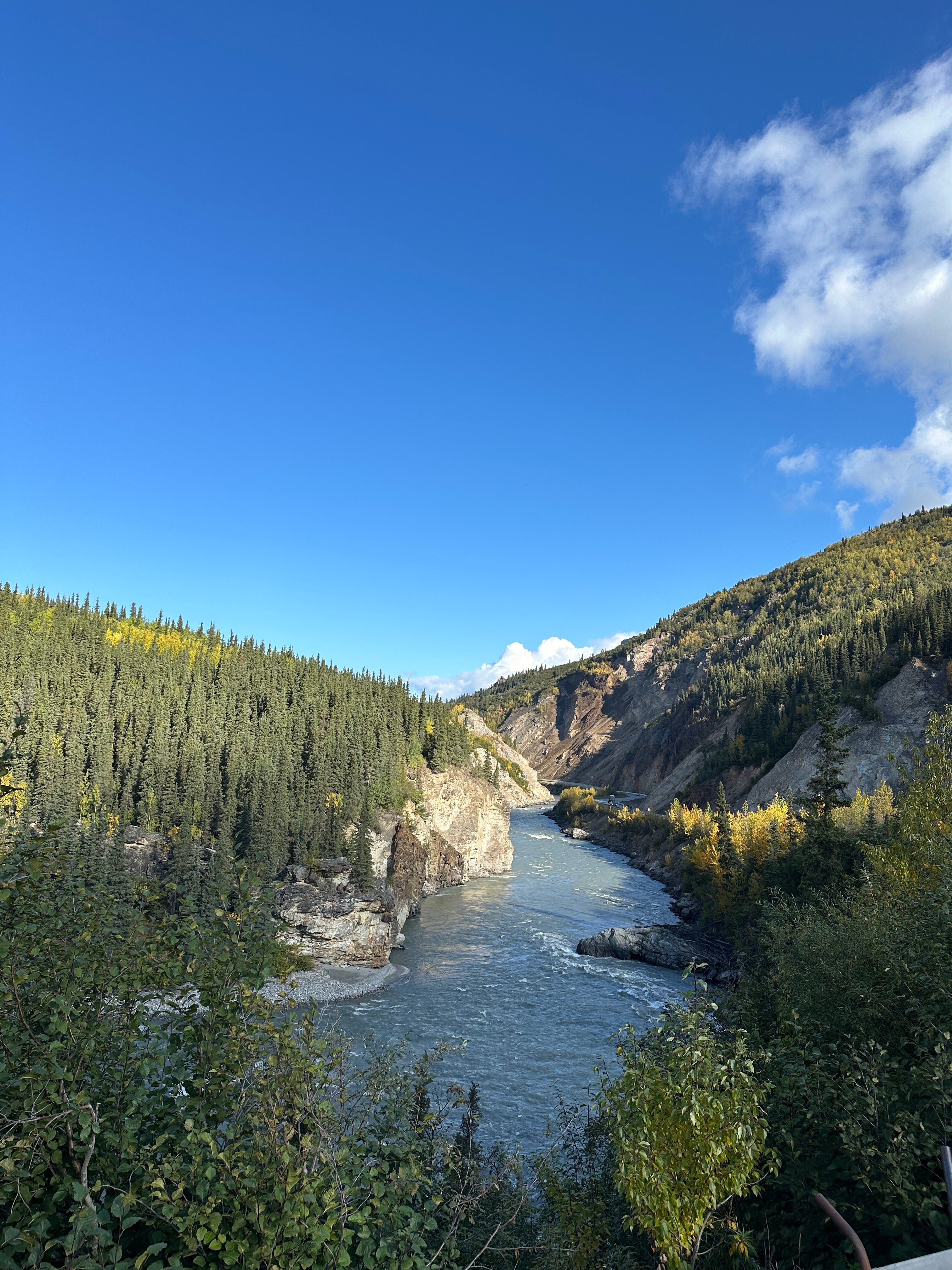 Horseshoe lake trail denali shop