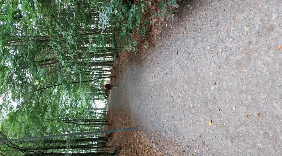 Flott turområde og tilrettelagt stier. Ligger midt i Larvik sentrum. Informasjonstavler og belysning på stien.