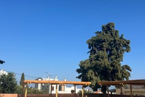Από ταξιδιώτες