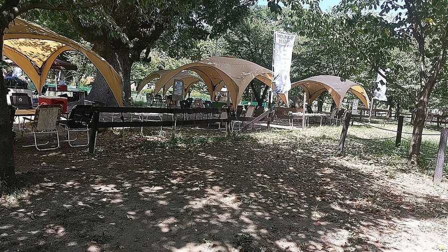 職場の一つである府立住吉公園桜広場有料バーベキューエリアです