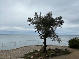 Viajero