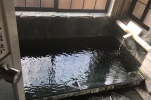 旅行者の写真