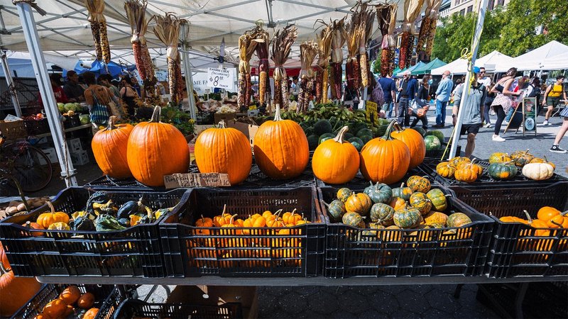 Displays of pumpkins and gourds at farmer's market