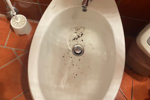 Viaggiatori