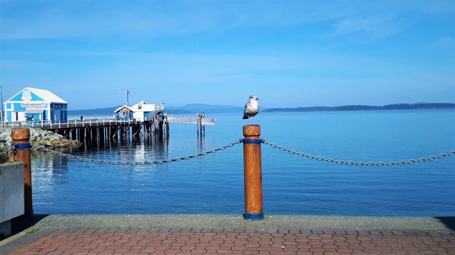 Waterfront Promenade downtown Sidney by-the-Sea.