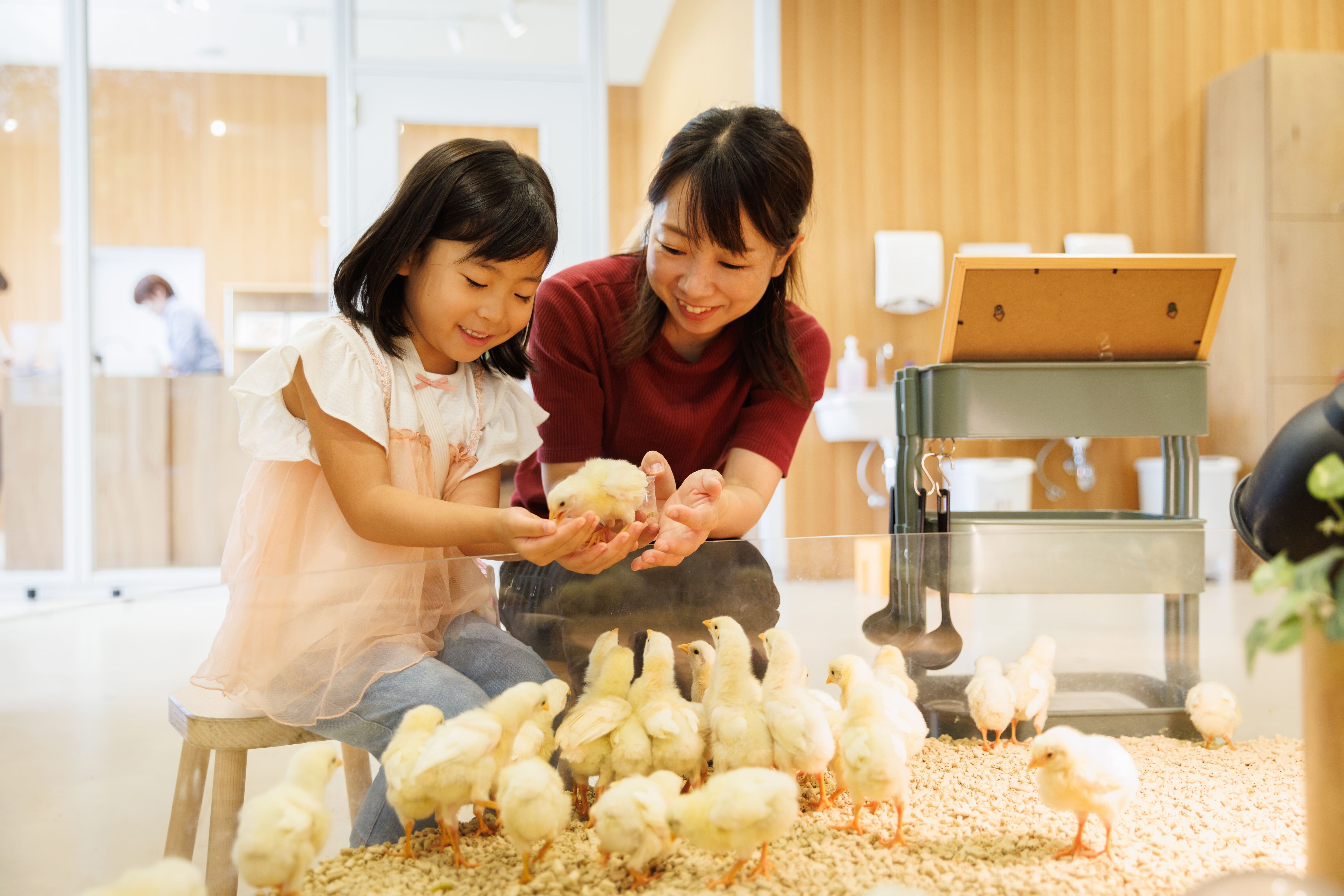 カラオケ物語 動物ペット コレクション 会社 学園