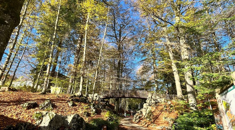 Parc