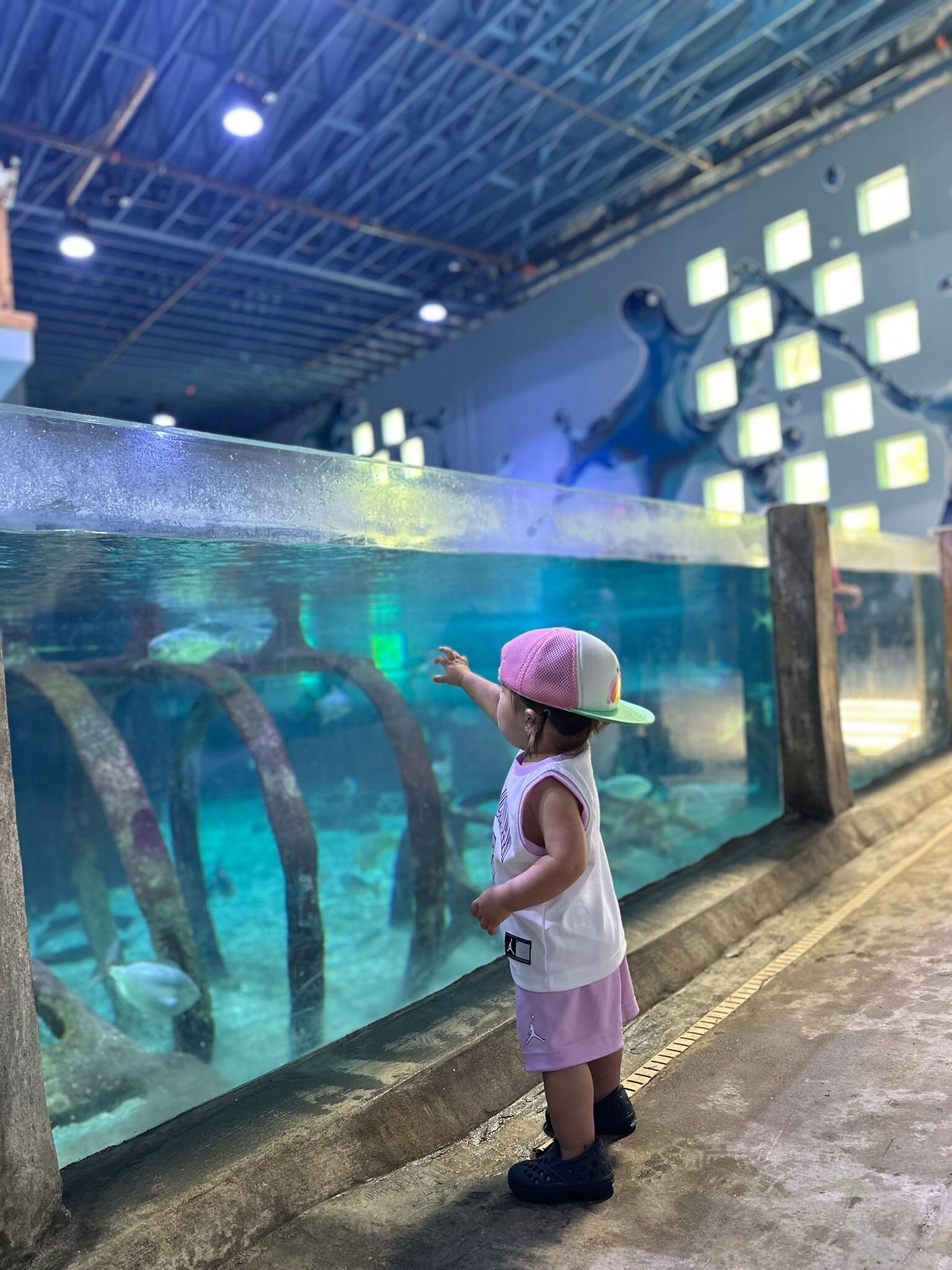 HOUSTON INTERACTIVE AQUARIUM AND ANIMAL PRESERVE - All You MUST Know ...