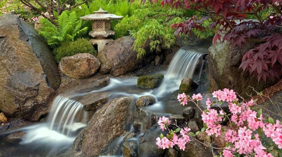 Anderson Japanese Garden