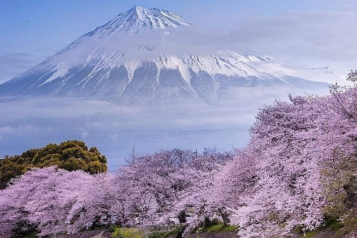 Mt. Fuji 5th Station (2025) - All You Need to Know BEFORE