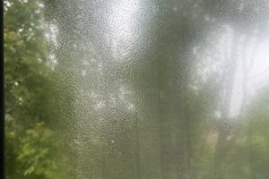 旅行者の写真