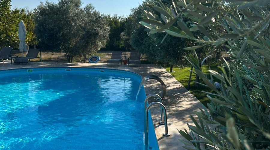 Location is very accessible to sea, restaurants, cafes, bars and city centre. Garden is full of olive trees and feels so peaceful. Hotel is also kids friendly. There are grass football field, swimmimg pool and plenty of grass areas around the hotel. I definetly recommend this hotel if you are looking for a quite place but also accessible.