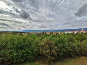 Oda ve Süit
