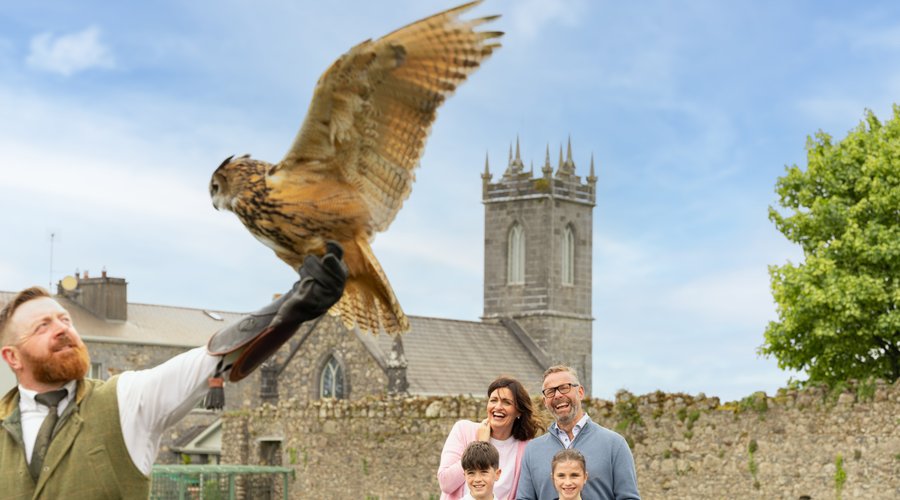 Falcon And Family