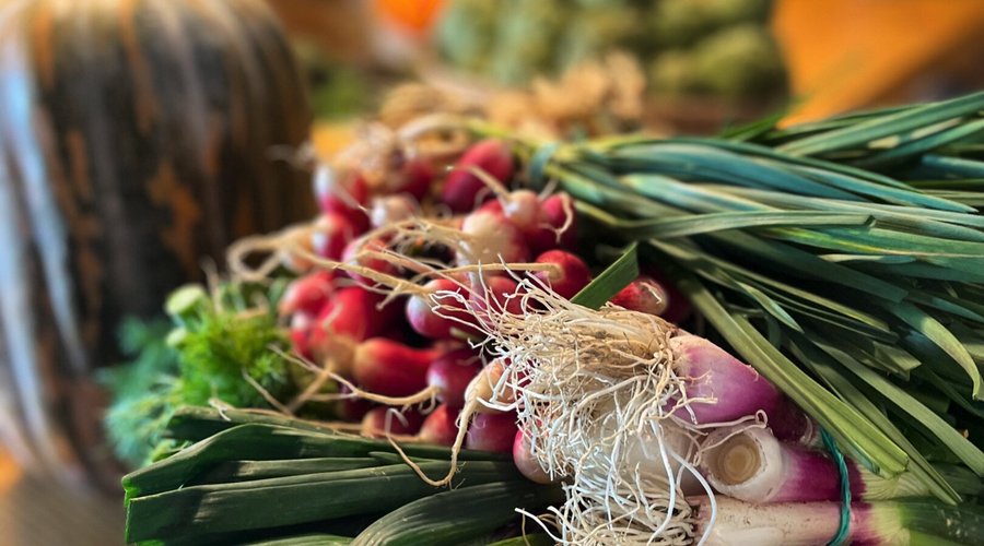 Gastronomia y producto local.