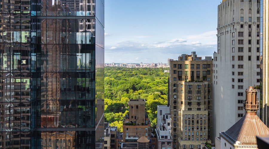 Rooftop Views