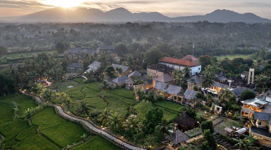 Aerial of Wapa di Ume Ubud