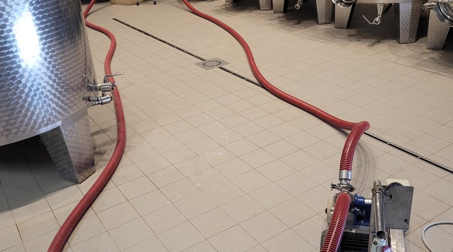 Vinificazioni in corso da Teresa Soria Winery 