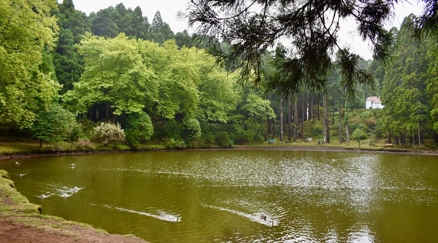 Lagoa das patas