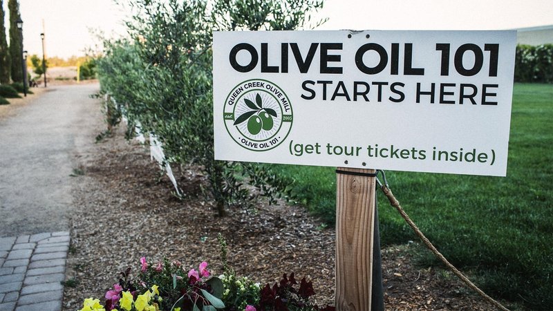 Sign posted in grass that says "Olive Oil 101 starts here"