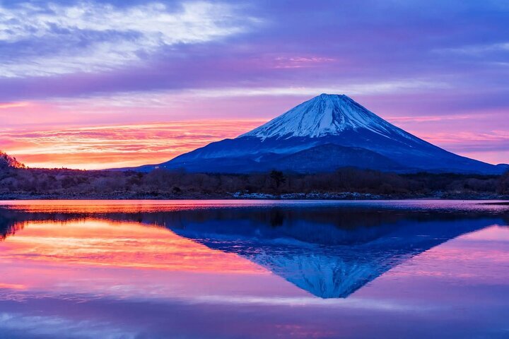 Mt. Fuji World Heritage Centre, Shizuoka | SHORYUDO , Go