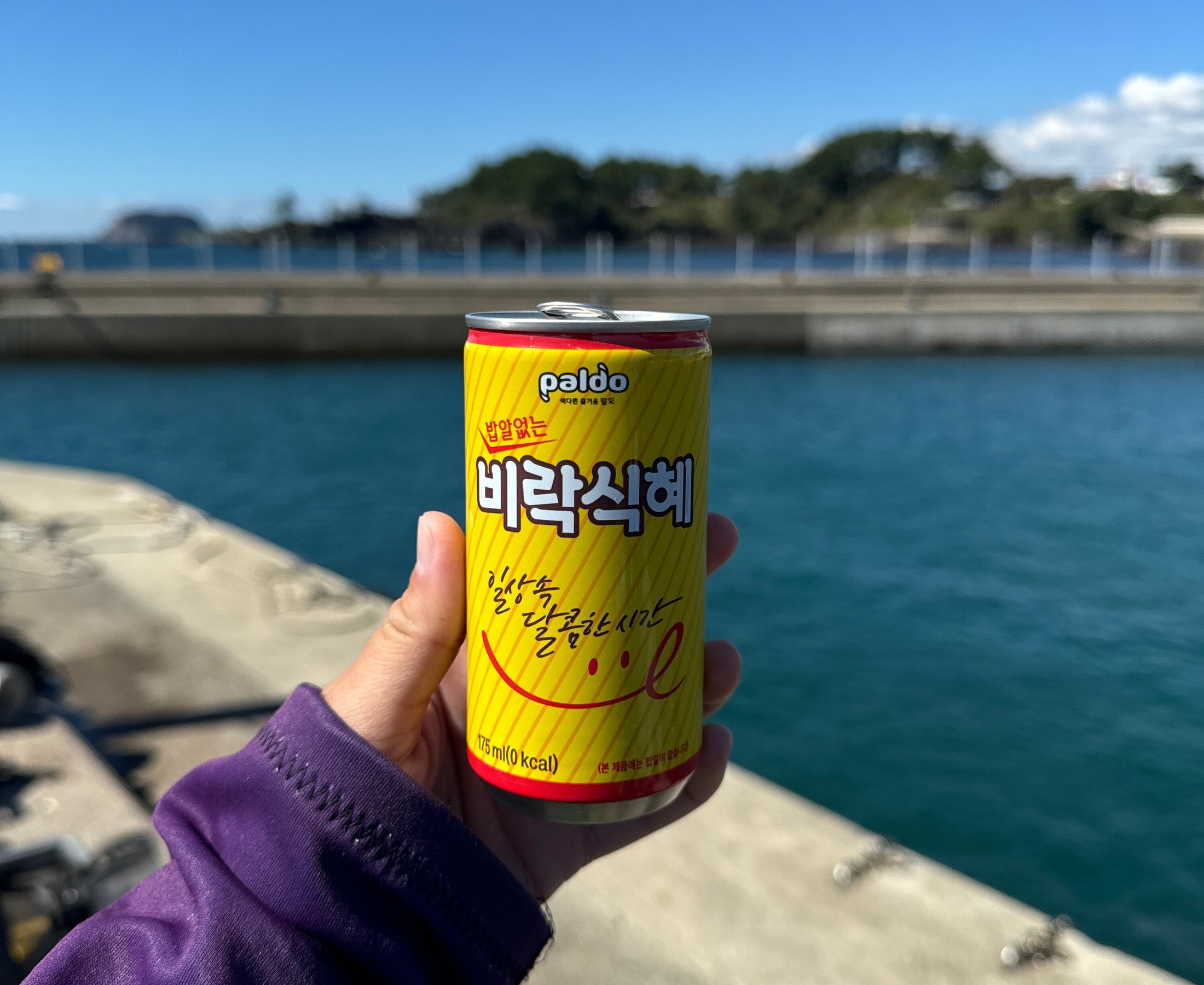 MJ Jeju Diving Club - All You Need to Know BEFORE You Go (2024)
