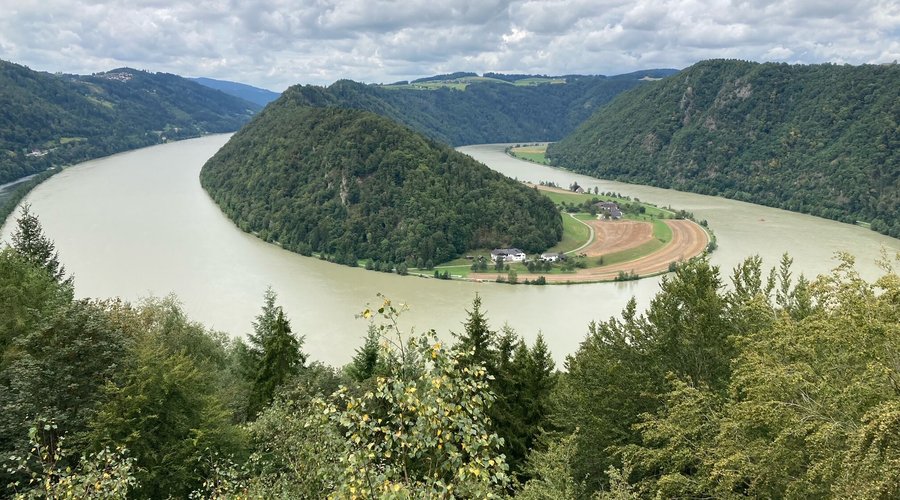 Danubio
