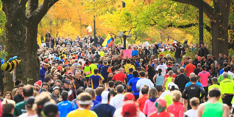 Crowds watching New York City Marathon runners under autumn trees