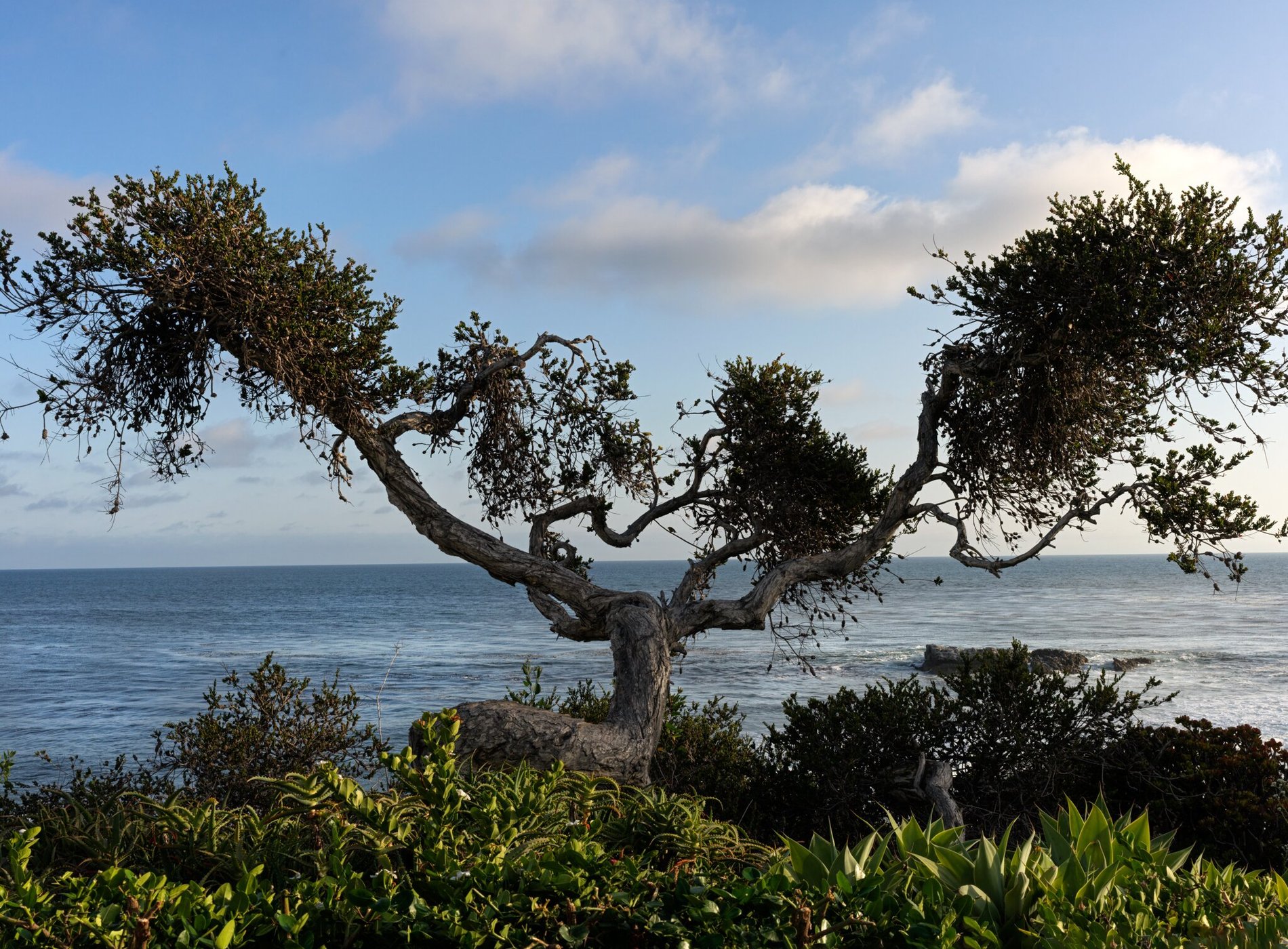 Casa Loma Beach Hotel (formerly The Inn at Laguna Beach) by null