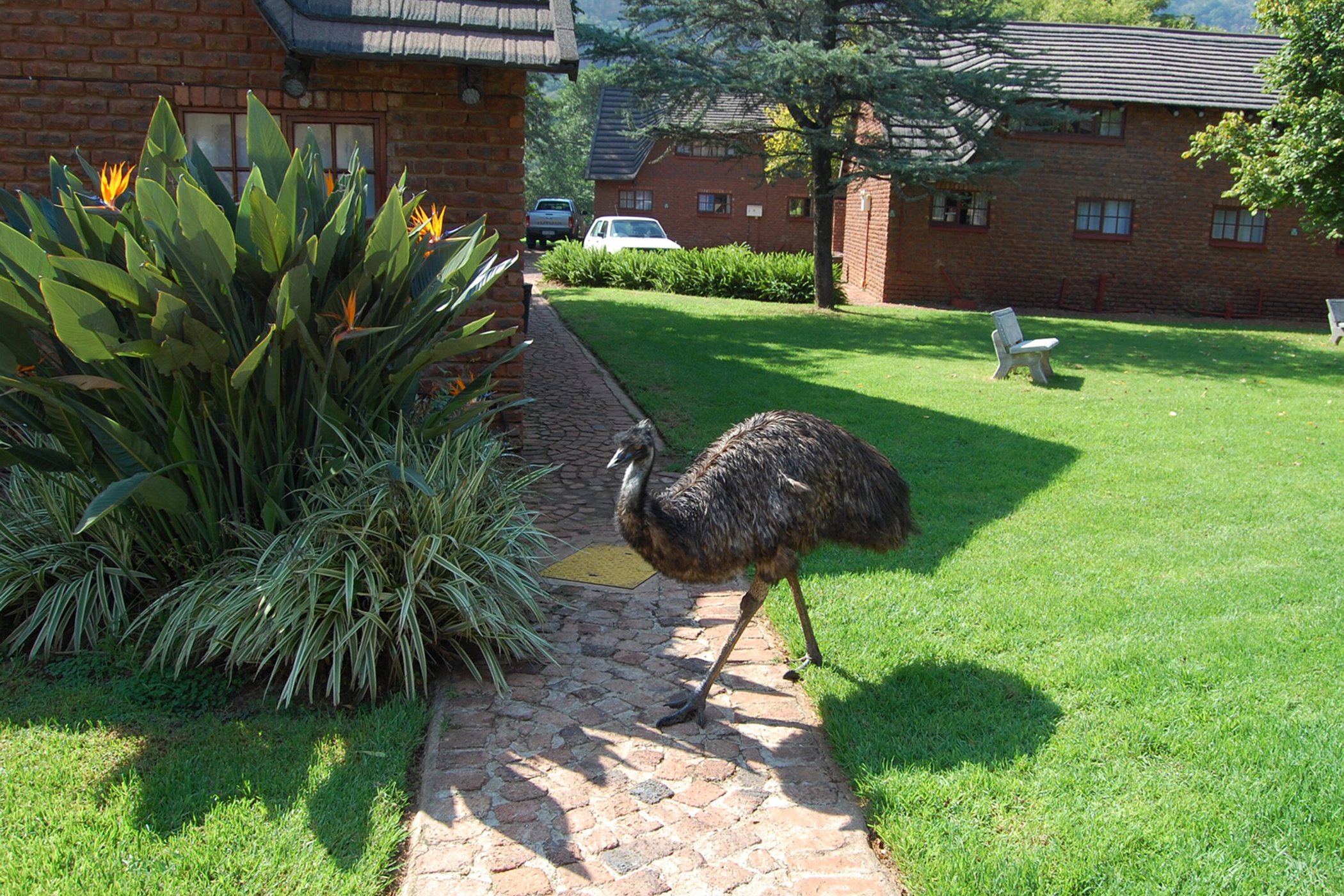 Mount Amanzi image