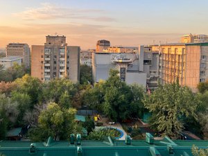 Номера и люксы