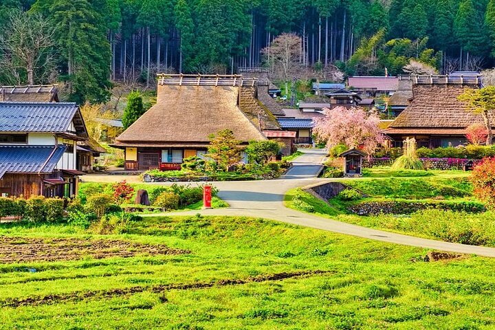 THE BEST Day Trips & Tours from Kyoto to Osaka (UPDATED 2025)