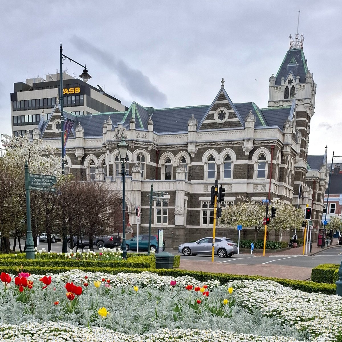 EXPERIENCE DUNEDIN TOURS - Qué SABER antes de ir (2024)