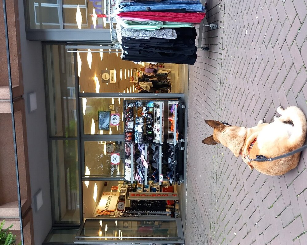 De beste winkelen in Kleve (2025) Tripadvisor