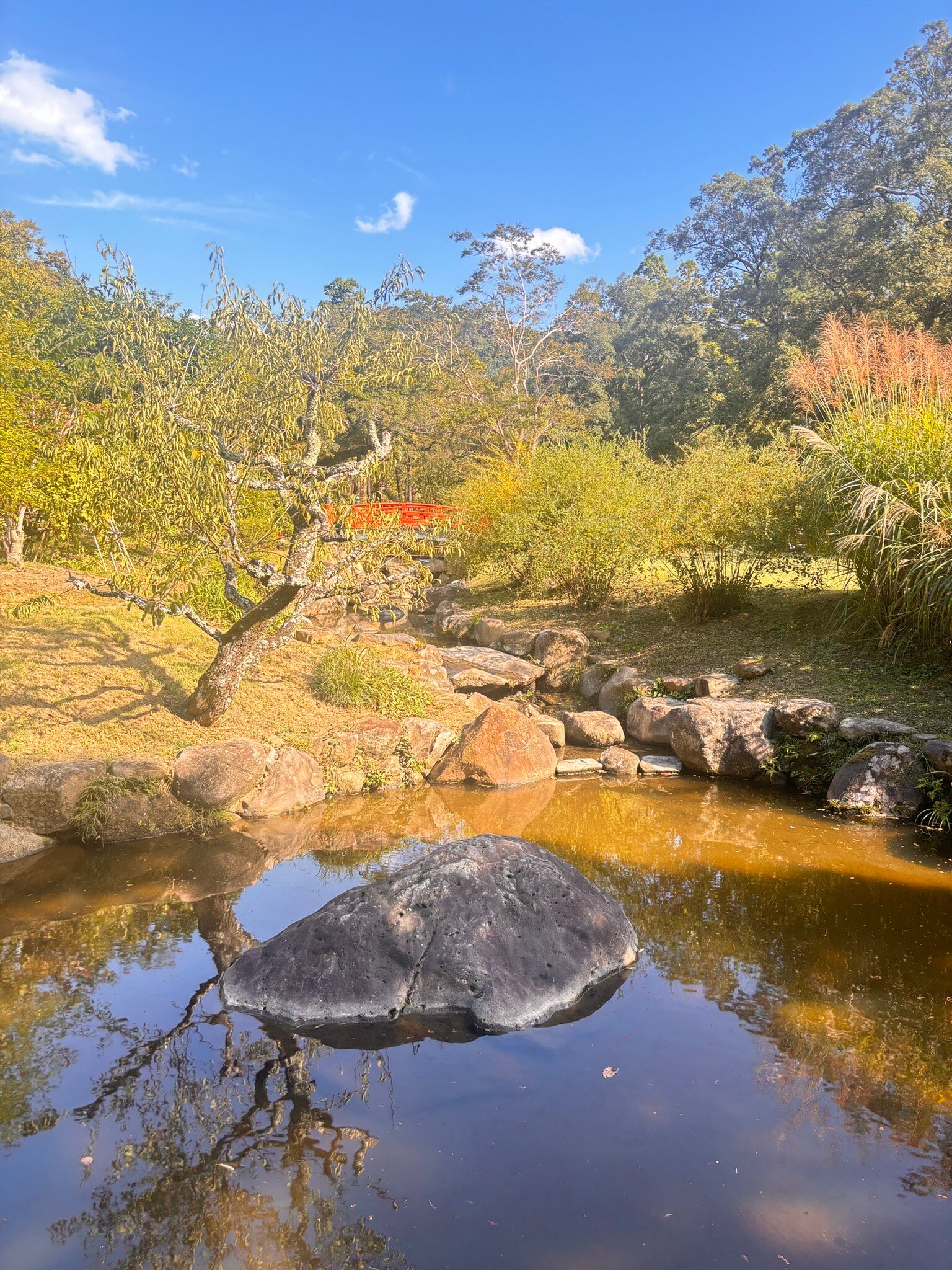 2025年 万葉植物園 - 出発前に知っておくべきことすべて