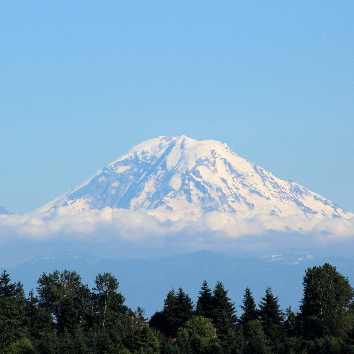 Seattle Daily Chauffeur (Mount Rainier) - 旅游景点点评 - Tripadvisor