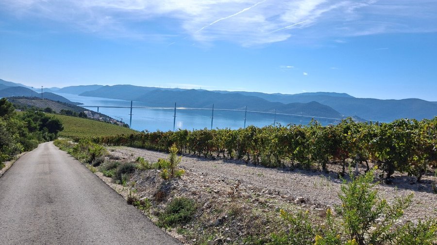 Terra Madre Winery - Komarna - Terra Madre Winery의 리뷰 - 트립어드바이저
