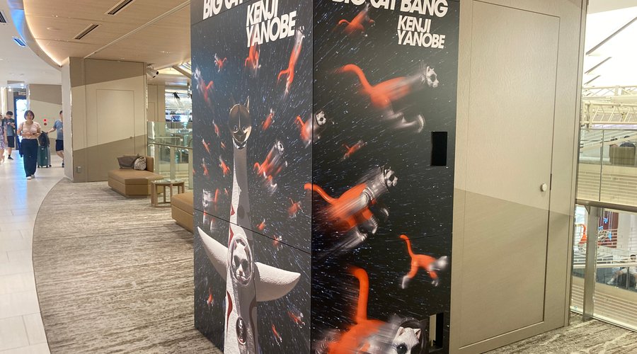 展示物の説明。