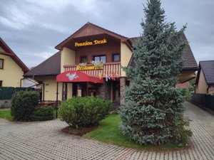 Reiziger