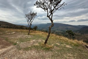 Viajante