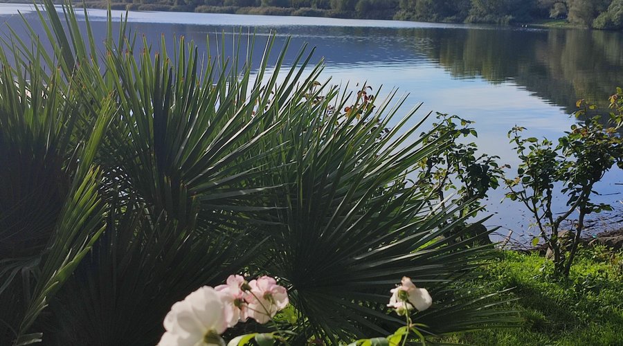 Lago di Vico